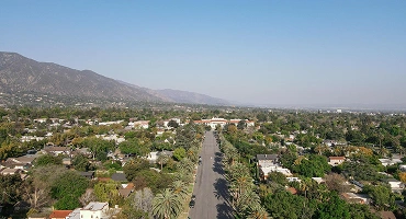 Palm-Springs